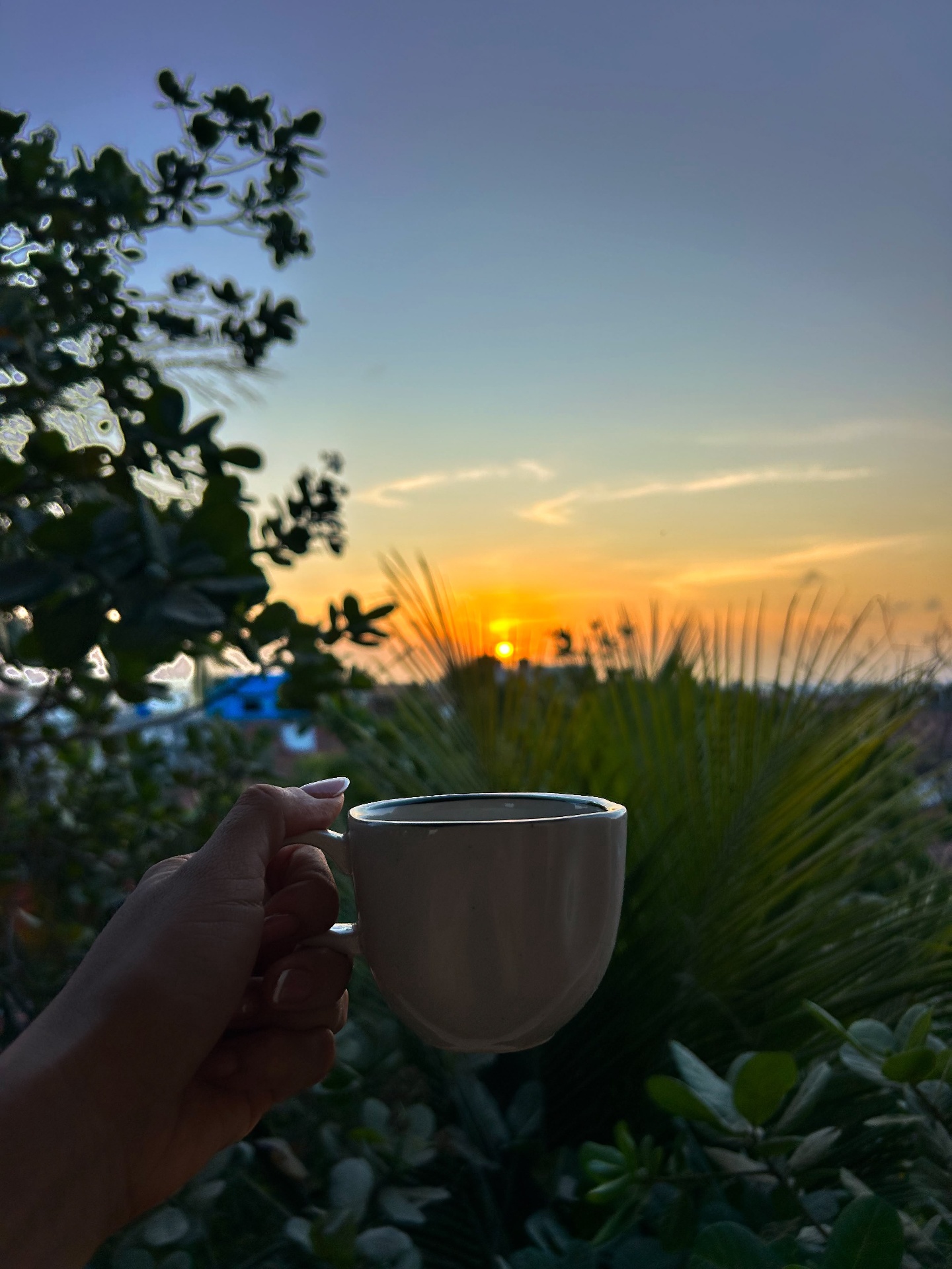 Xícara de café contra o pôr do sol em Jericoacoara